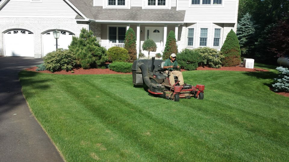 Century Oaks Landscaping, Coverntry, CT