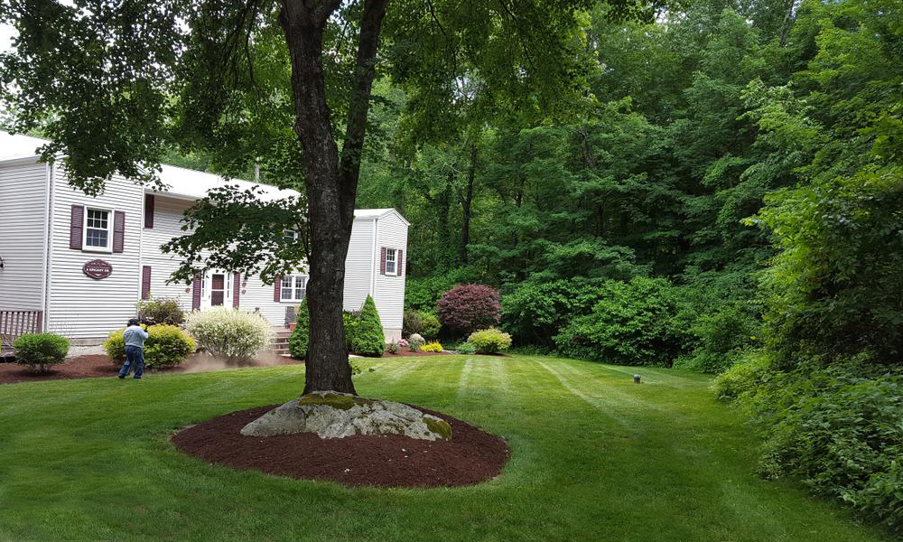 landscape maintenance service ct