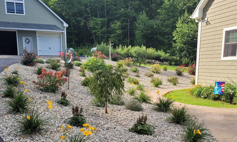 landscape services