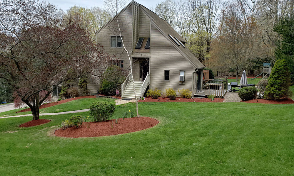 Spring cleanup landscaping